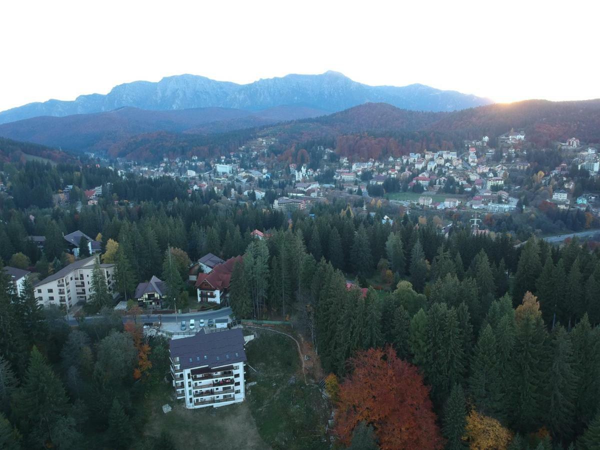 Nature House Predeal Zewnętrze zdjęcie