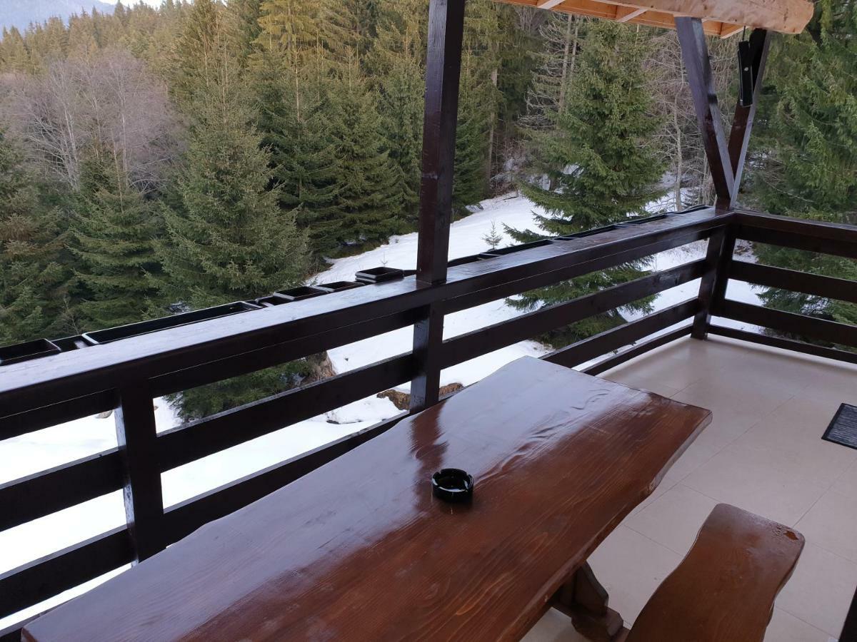 Nature House Predeal Zewnętrze zdjęcie