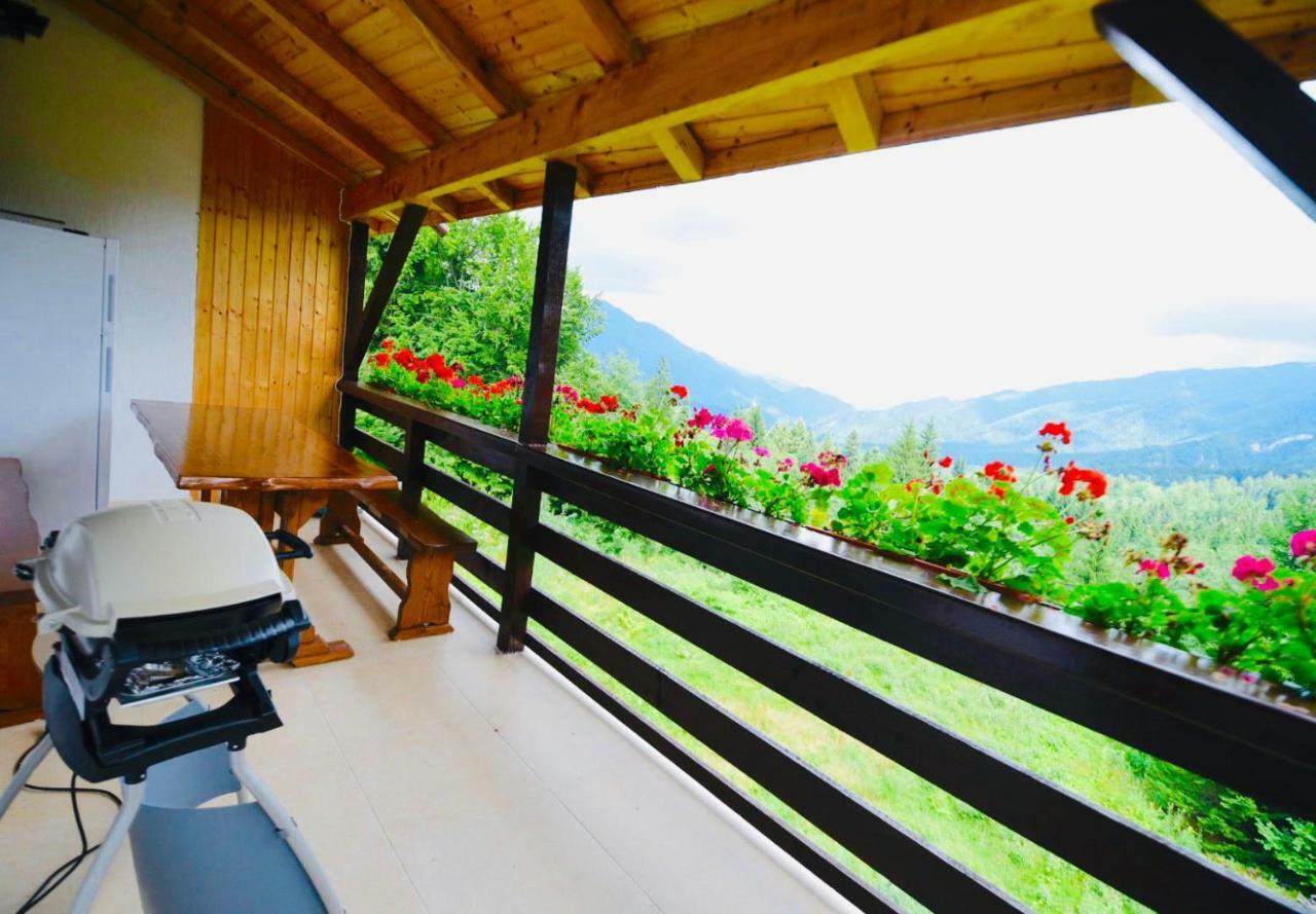 Nature House Predeal Zewnętrze zdjęcie