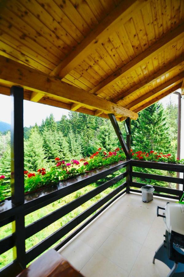 Nature House Predeal Zewnętrze zdjęcie
