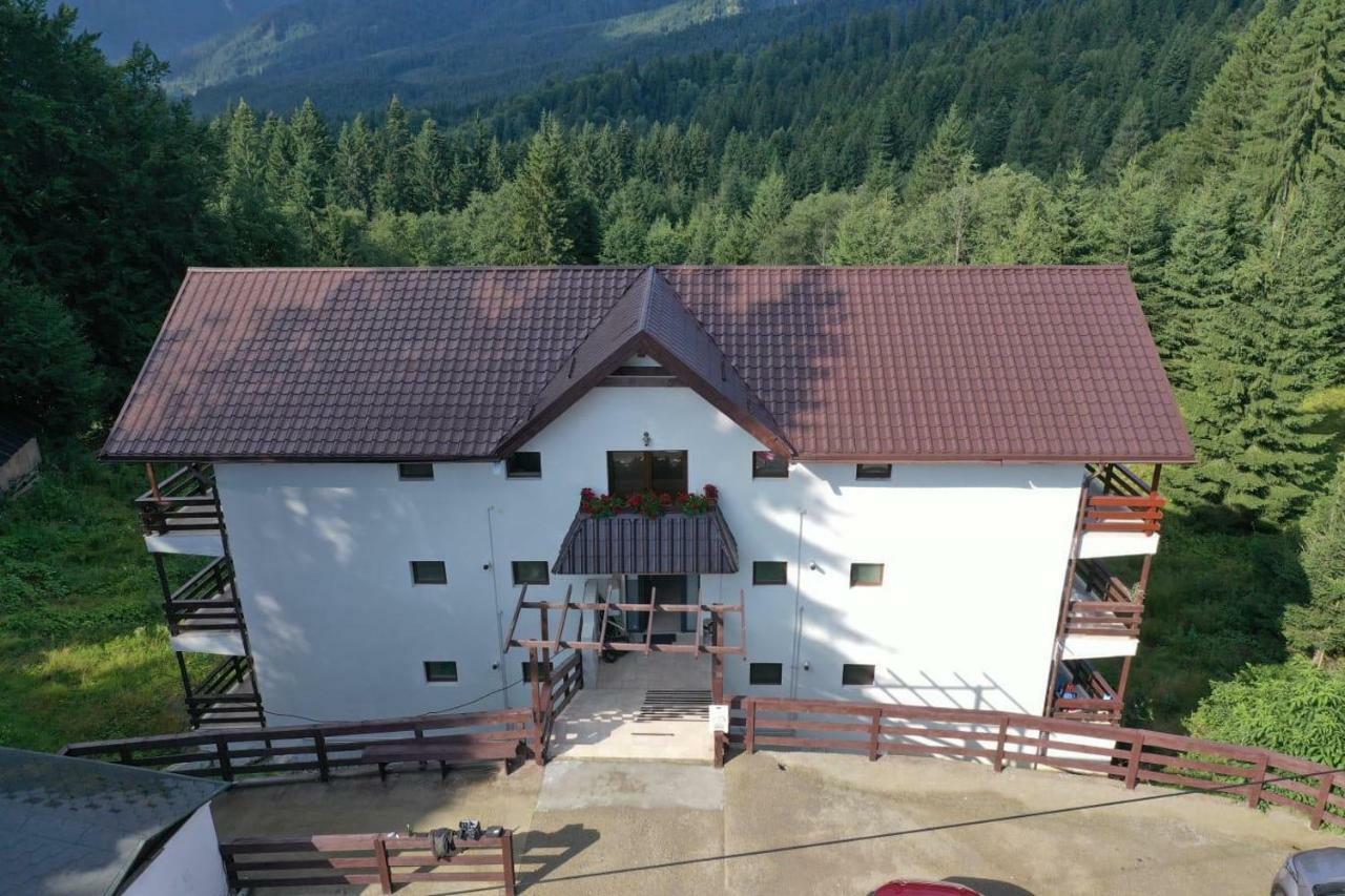 Nature House Predeal Zewnętrze zdjęcie