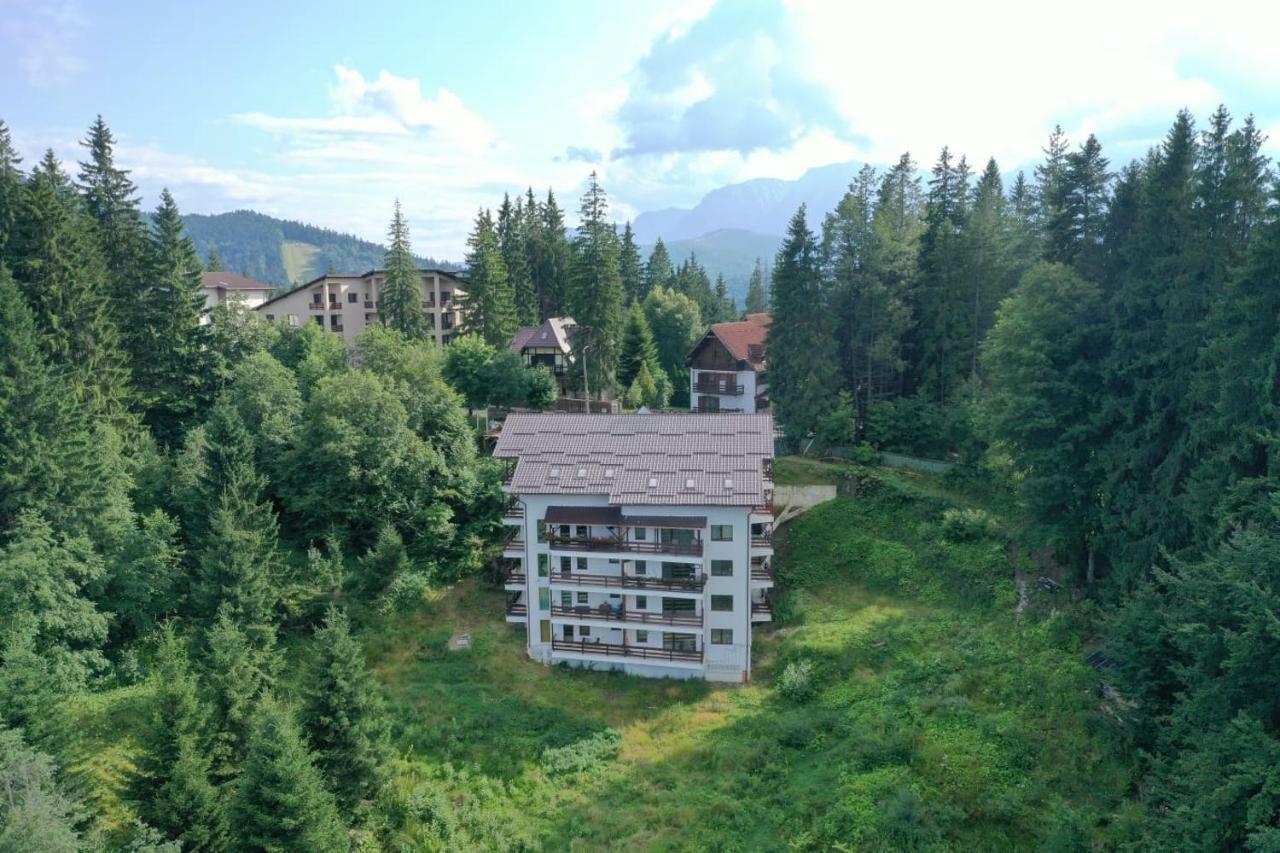 Nature House Predeal Zewnętrze zdjęcie